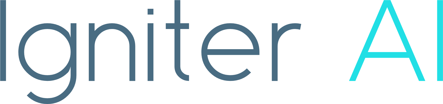 Igniter AI Systems