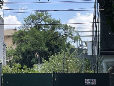 Terreno Comercial en Renta 150M2 Col Anzures — fotografía 3