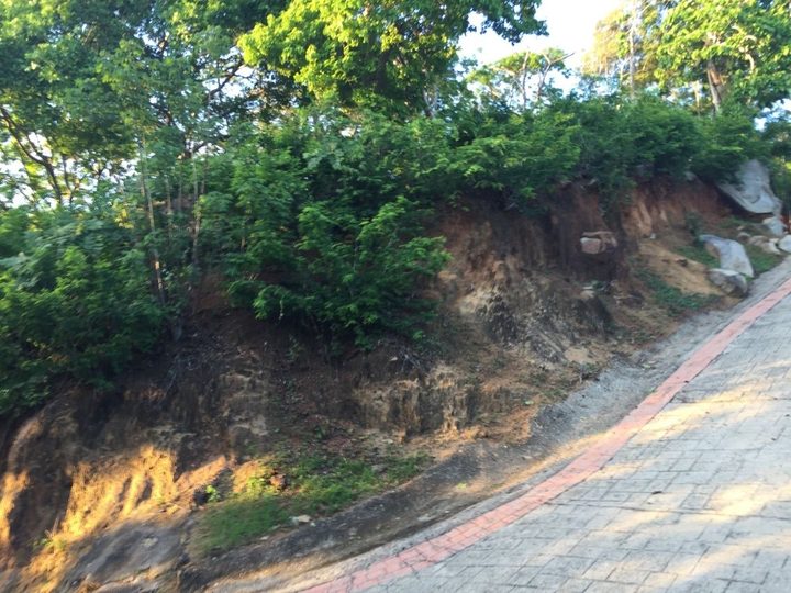 Terreno en Venta Fracc.brisas del Marqués, Acapulco, Gro. — fotografía 2