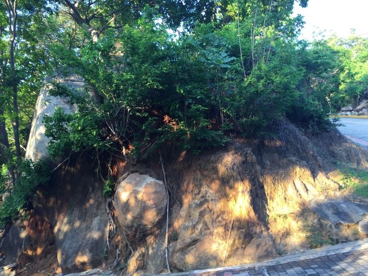 Terreno en Venta Fracc.brisas del Marqués, Acapulco, Gro. — fotografía 3