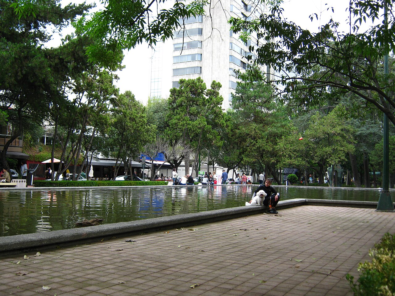 Propiedades en Polanco, Ciudad de México